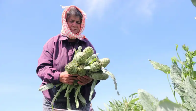 Tarladan Sofralara: Tezgahta 50 TL'ye Satılan Meyve Sebzelerin Hikayesi