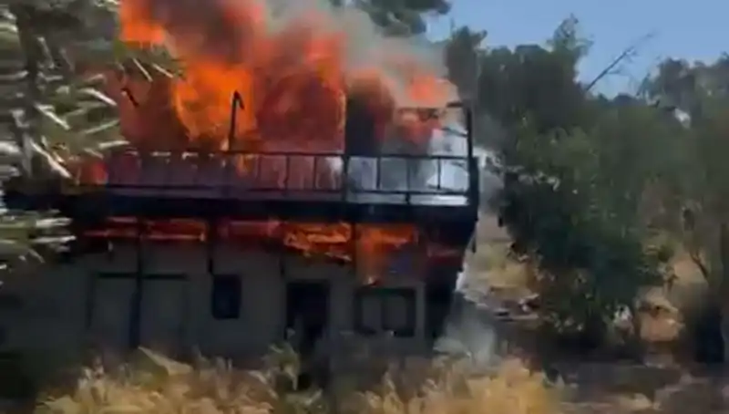 Bodrum'da Ekipleri Harekete Geçiren Yangında Yüzlerce Ağaç Yok Oldu