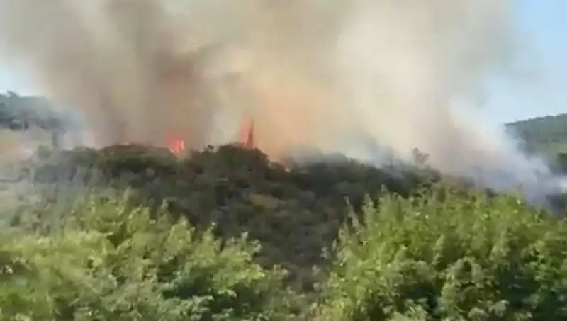 İstanbul Orman Yangını: Zamanla Yarışıyor, Vatandaşlar Tahliye Ediliyor!