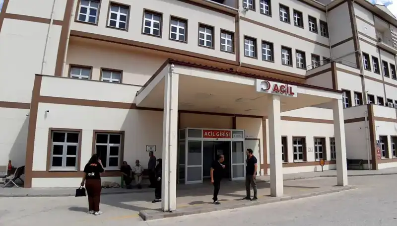 Bolu'da Ayı Avı Kararı: Doğanın Dengesini Tehdit Eden Adım